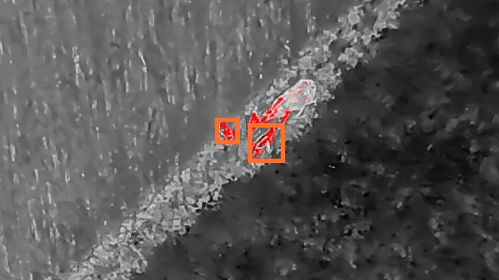 Fawns annotated in radiometric thermal imagery